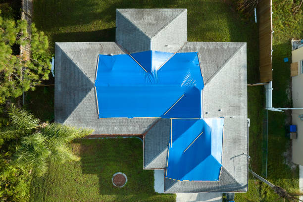 Best Metal Roofing Installation  in Lake Grove, NY